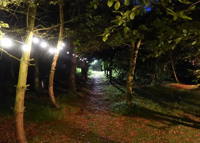 Dreish - Glamping Pod